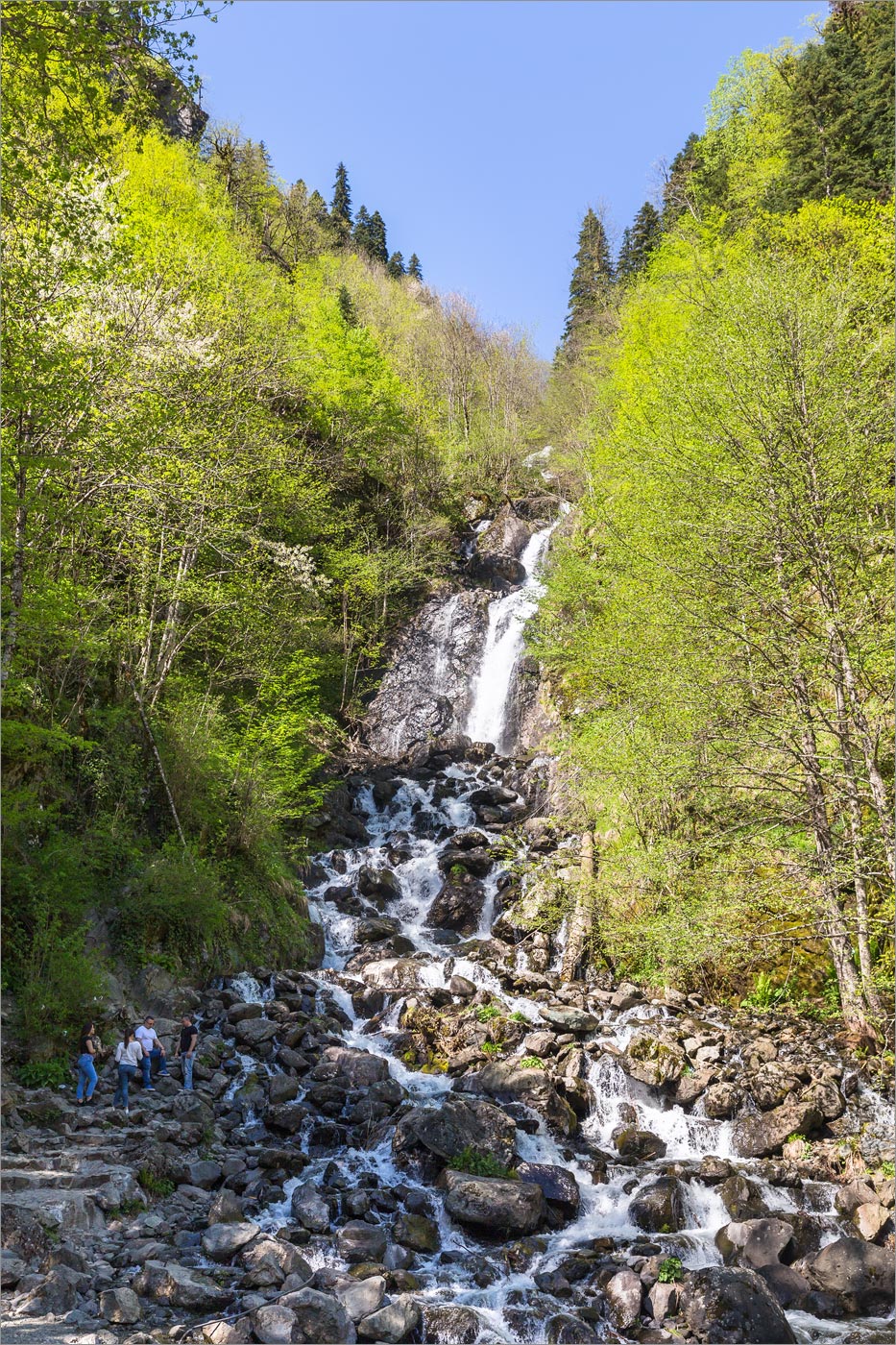 Северный берег озера Рица, image of landscape/habitat.