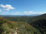 Орлиные скалы (Сочи), image of landscape/habitat.