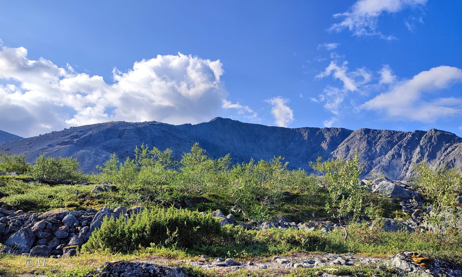 Верховья руч. Петрелиуса, image of landscape/habitat.