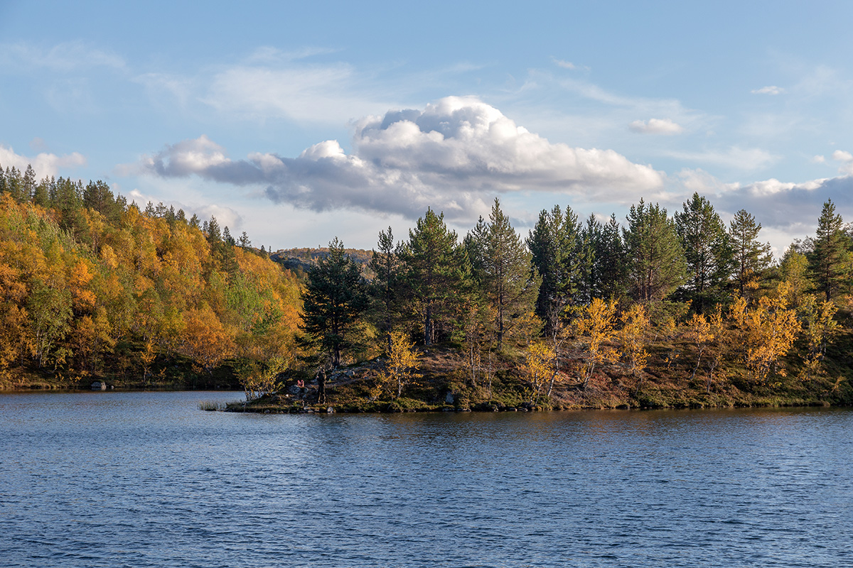 Река Ура, image of landscape/habitat.