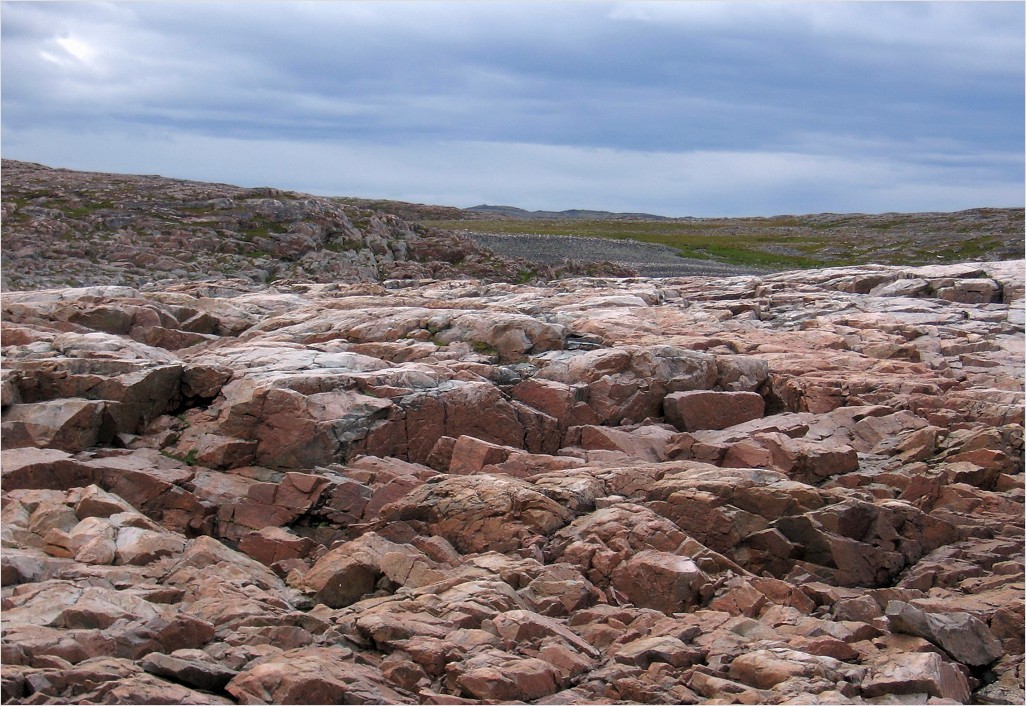 Губа Широкая, image of landscape/habitat.
