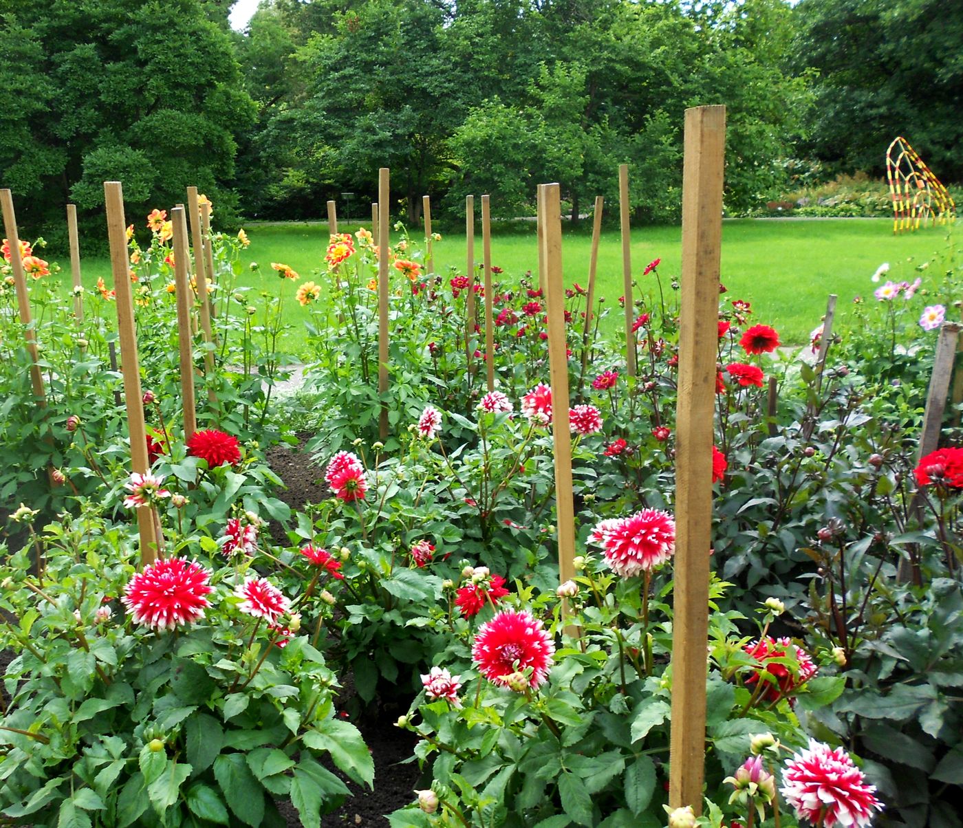 Ботсад Латвийского Университета, image of landscape/habitat.