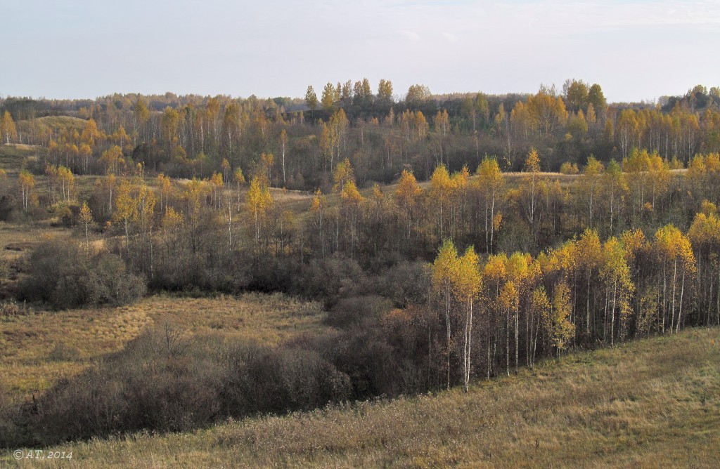 Верховья Каспли, изображение ландшафта.