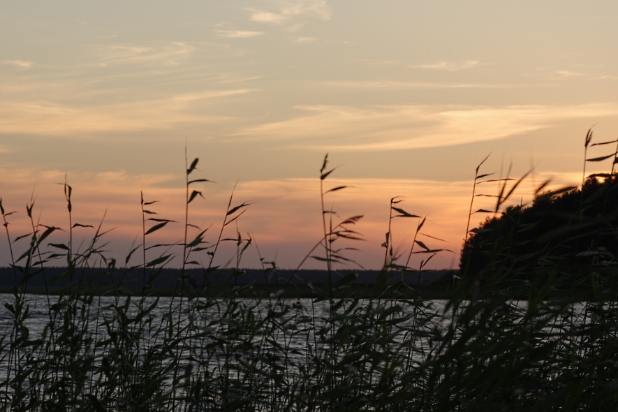 Деревня Кравотынь и окрестности, image of landscape/habitat.