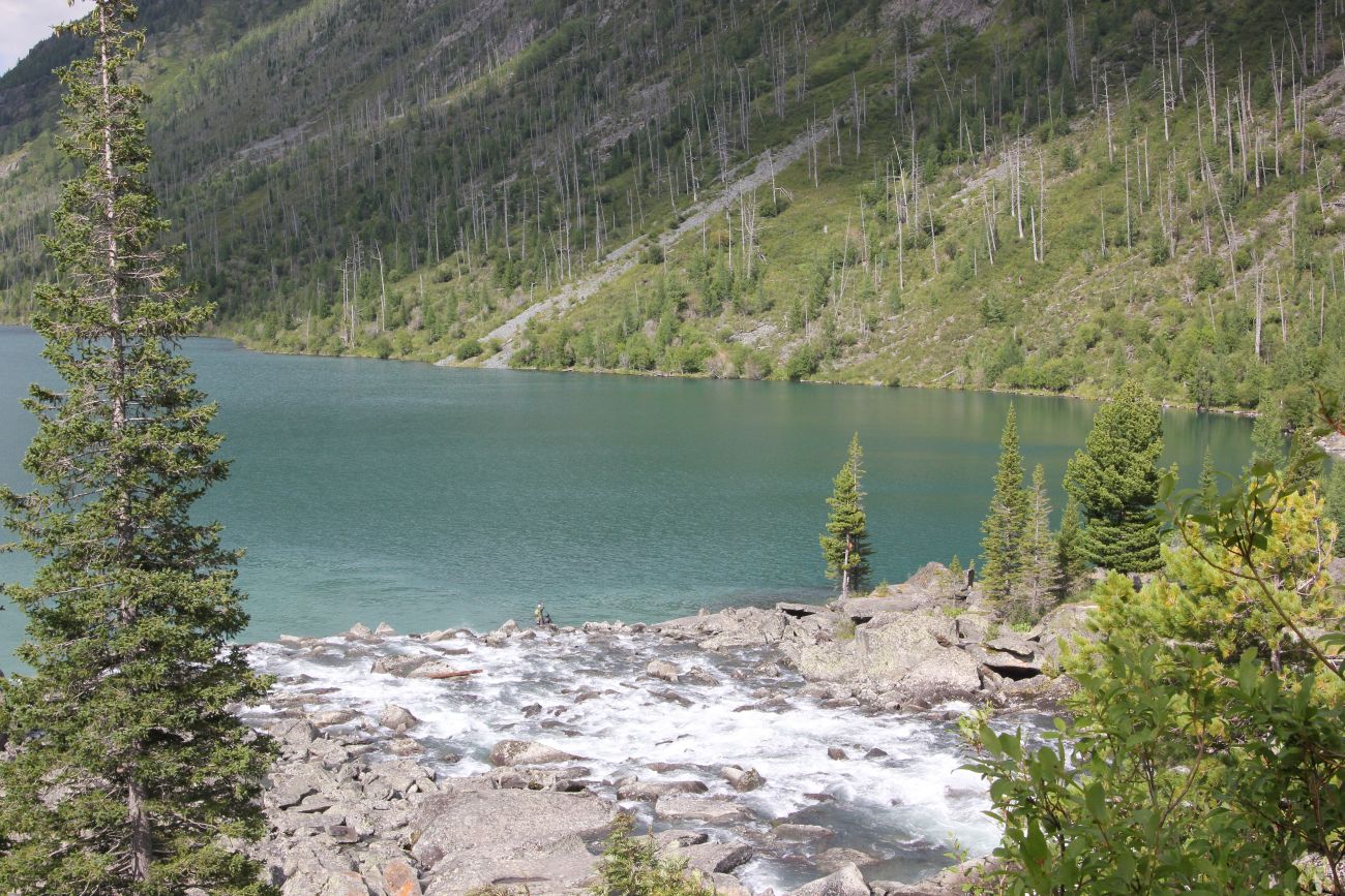 Урочище Шумы, image of landscape/habitat.