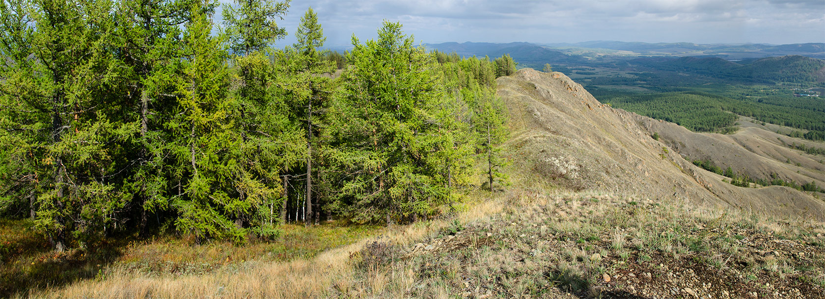 Акбура, image of landscape/habitat.