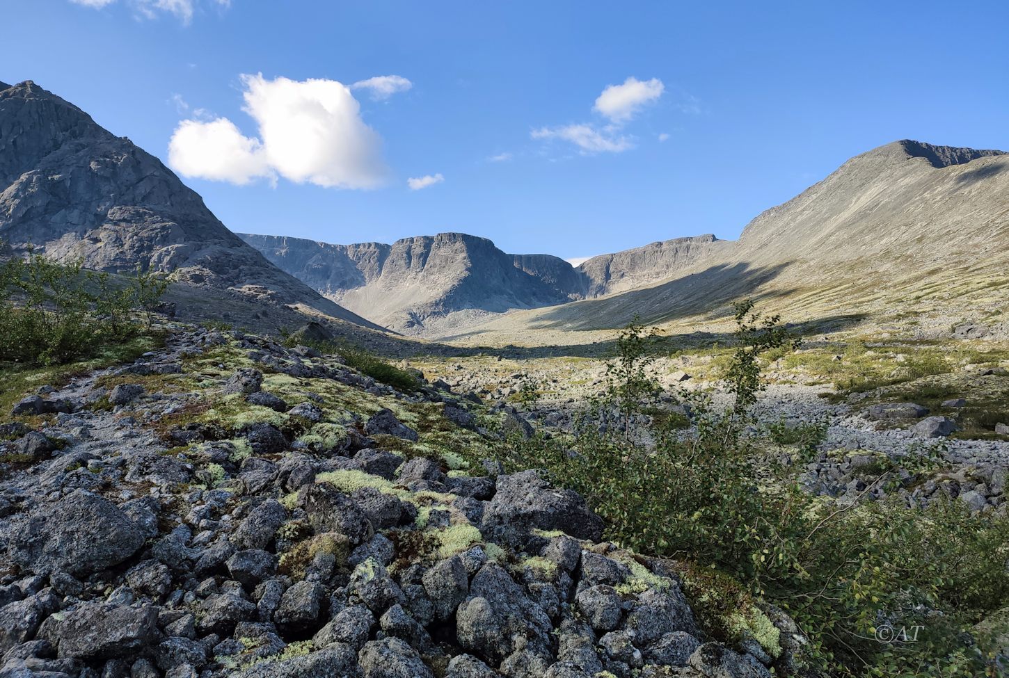 Верховья руч. Петрелиуса, image of landscape/habitat.