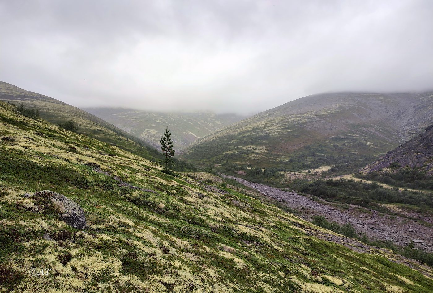 Ручей Маннепахкуай, image of landscape/habitat.