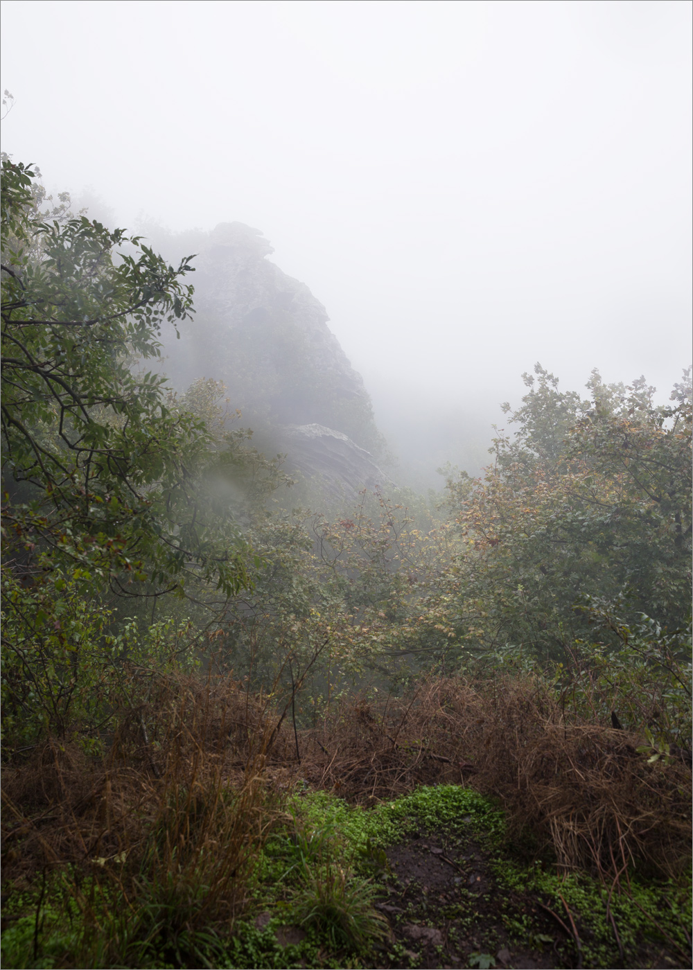 Железноводский парк, image of landscape/habitat.
