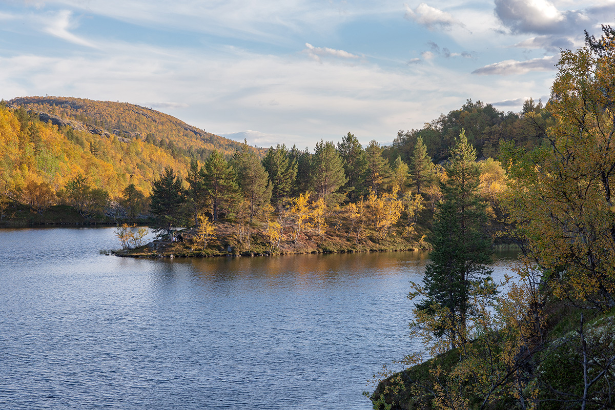 Река Ура, image of landscape/habitat.
