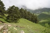 Image of landscape