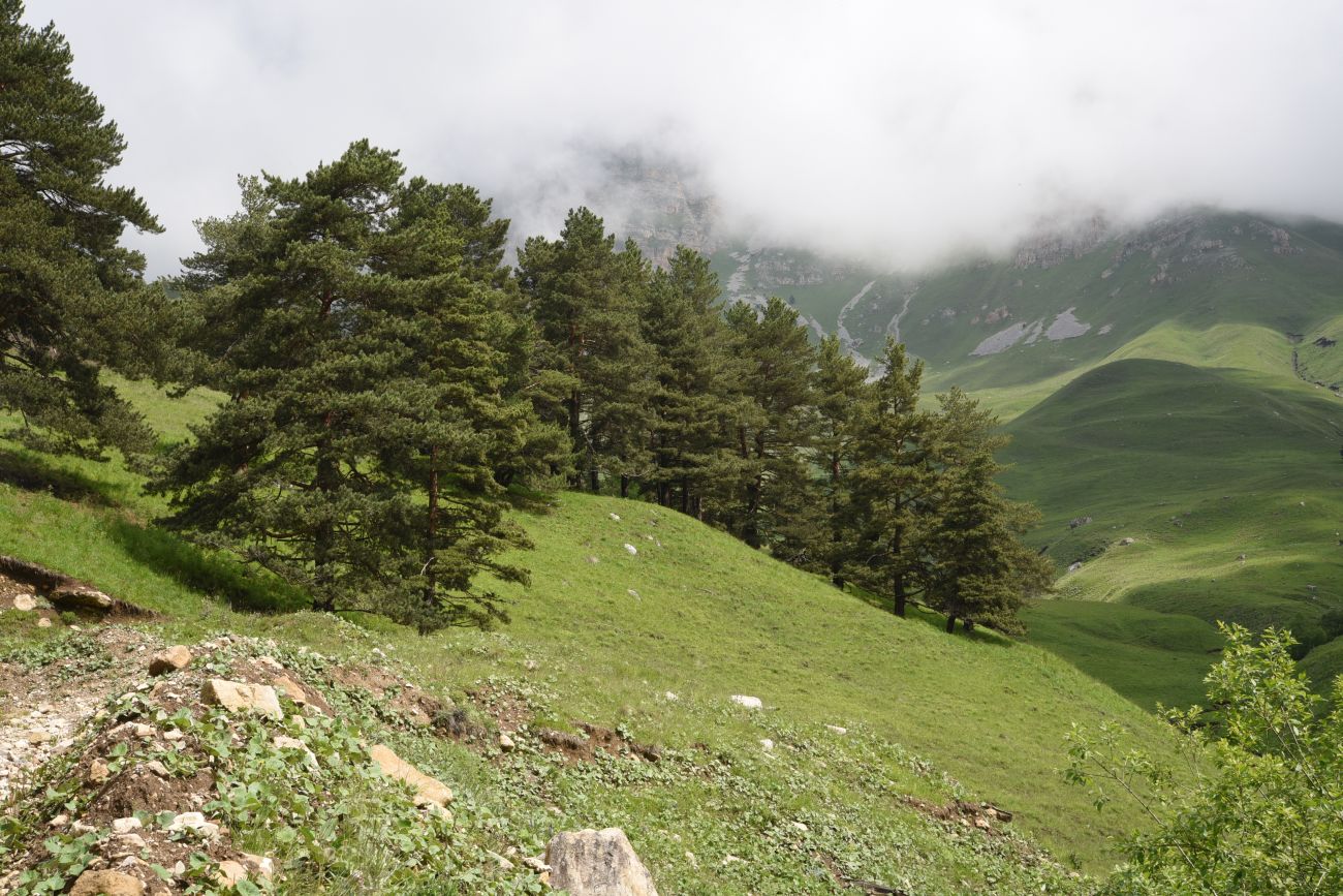 Окрестности урочища Оасег, image of landscape/habitat.