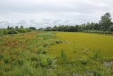 Image of landscape