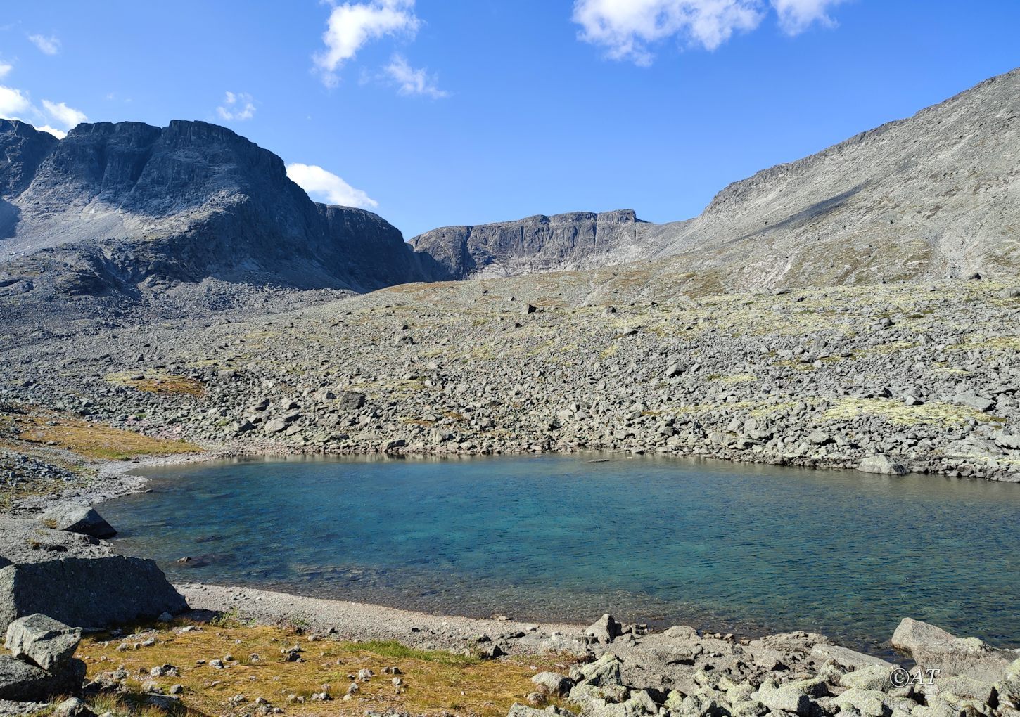Верховья руч. Петрелиуса, image of landscape/habitat.