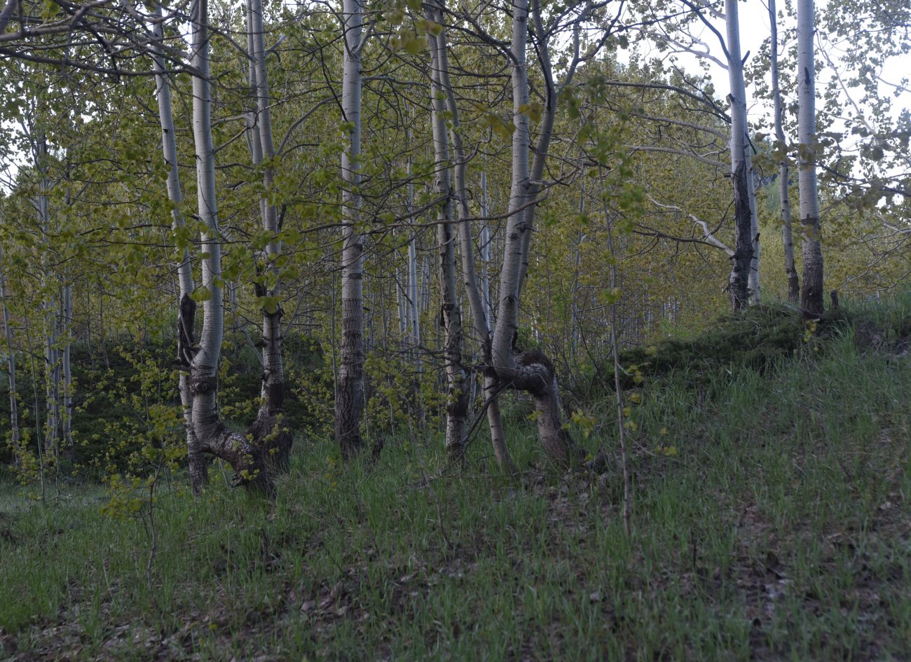 Перемычка между Немрут и Ылы, изображение ландшафта.