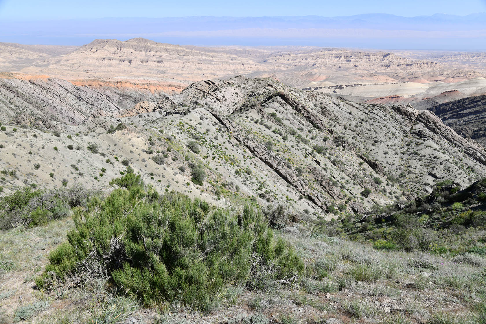 Гальчабаши, image of landscape/habitat.