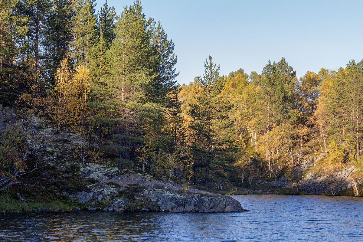 Река Ура, image of landscape/habitat.