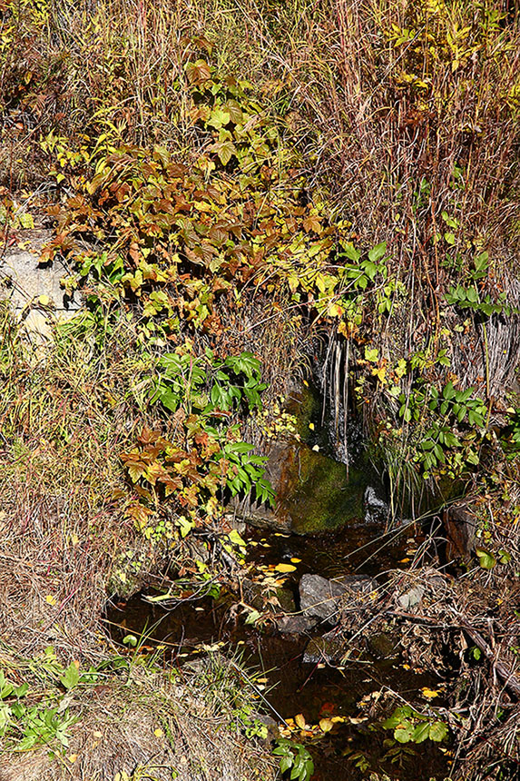 Порт Байкал, image of landscape/habitat.