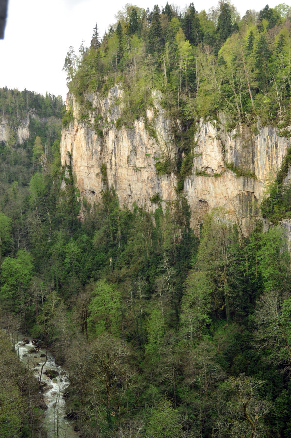 Курджипское ущелье, image of landscape/habitat.