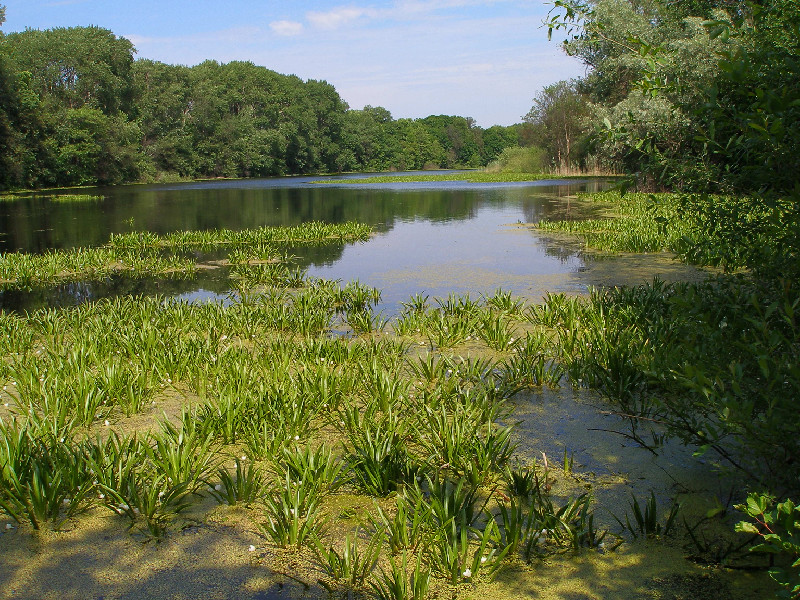 Станица Луганская и окрестности, image of landscape/habitat.