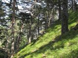 Image of landscape
