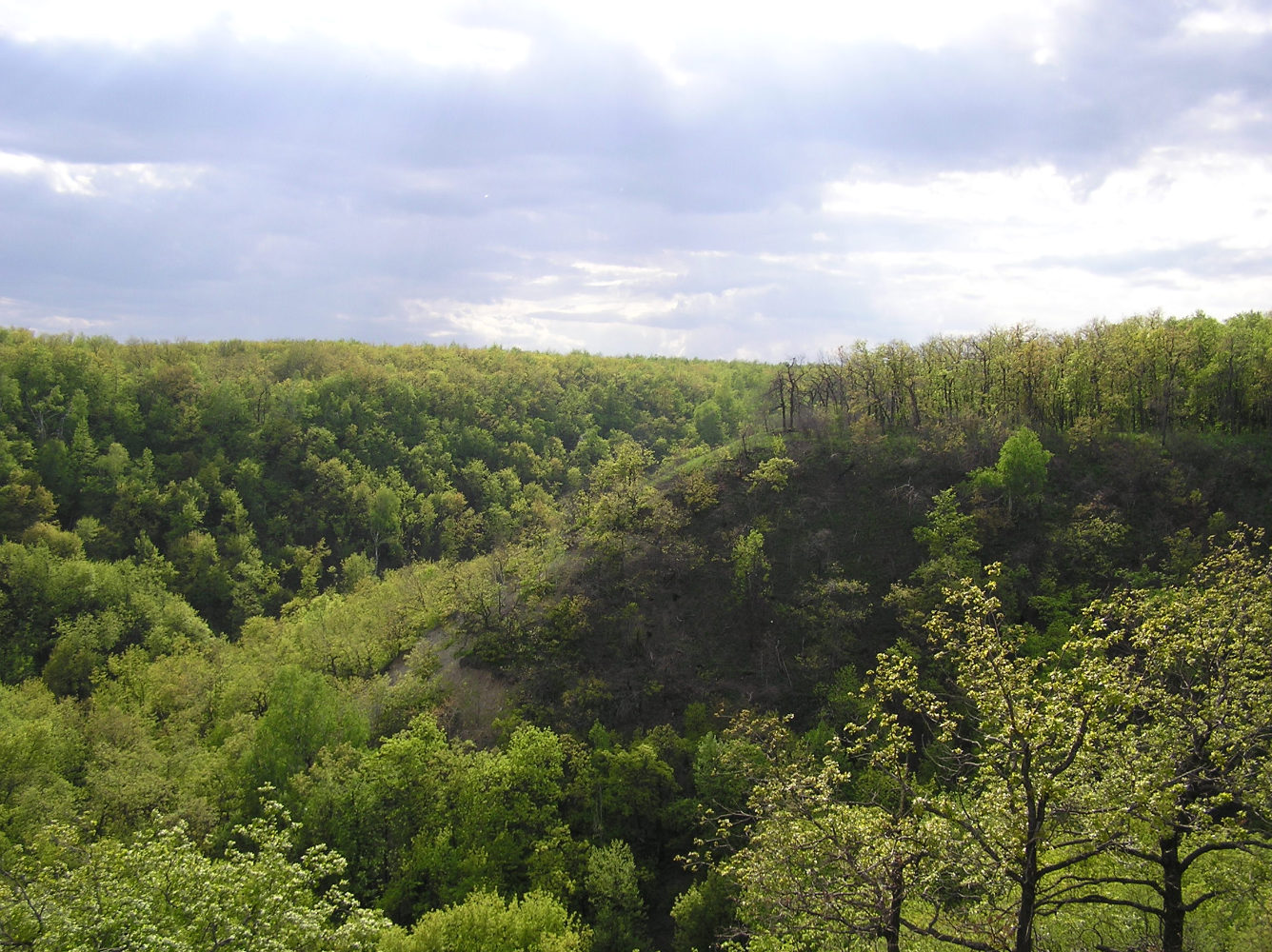 Смирновское Ущелье, image of landscape/habitat.