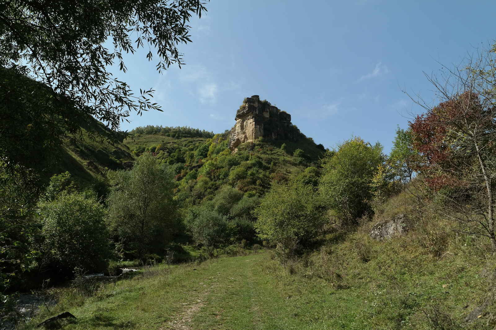 Берёзовское ущелье, image of landscape/habitat.