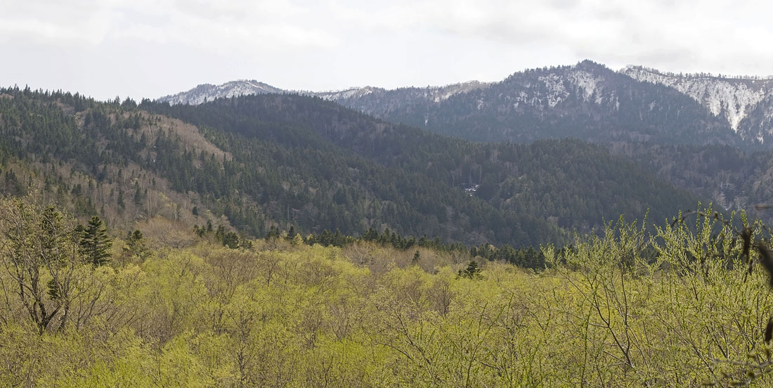 Ай, image of landscape/habitat.