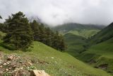 Image of landscape