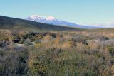Image of landscape