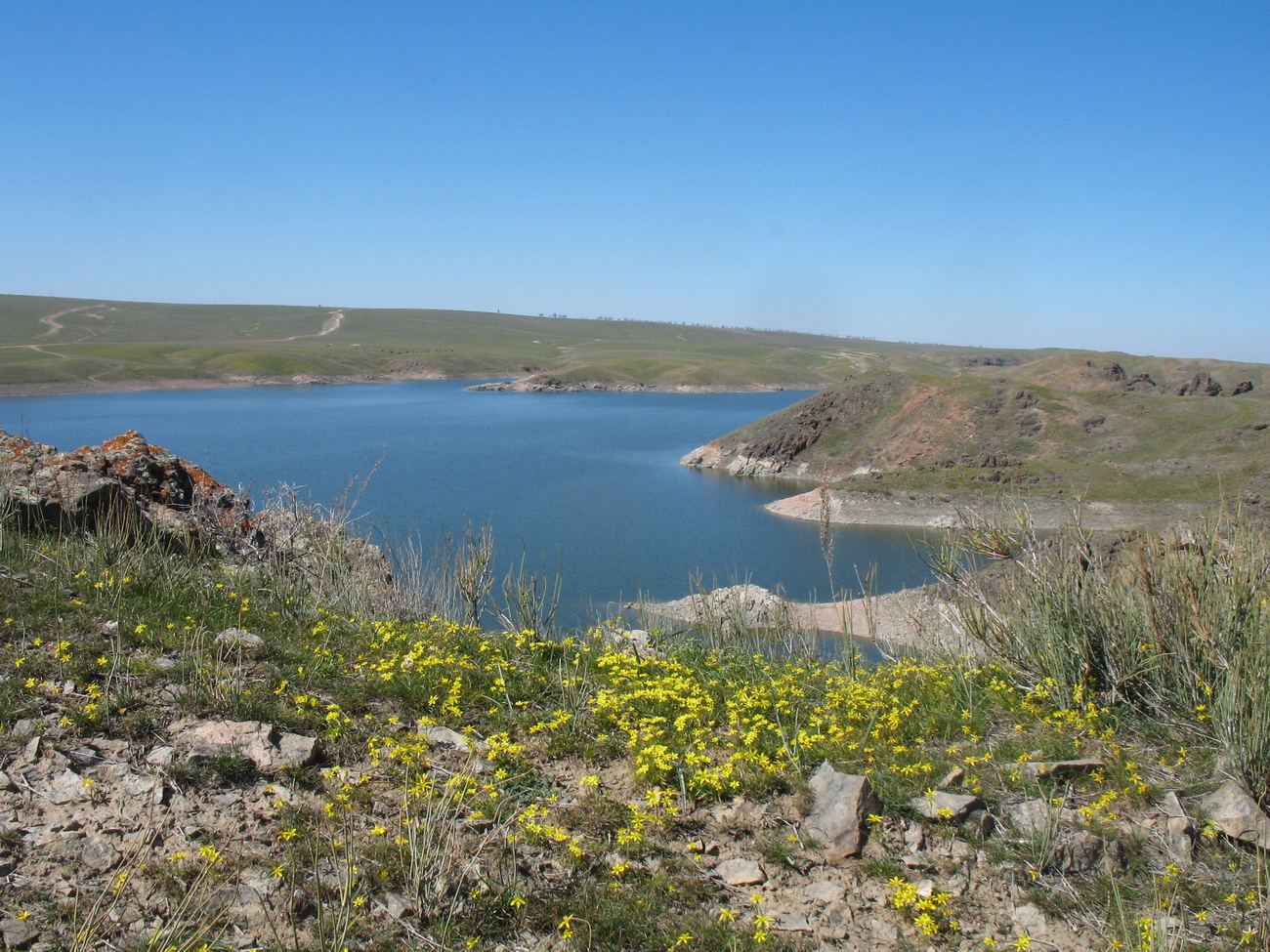 Курты, image of landscape/habitat.