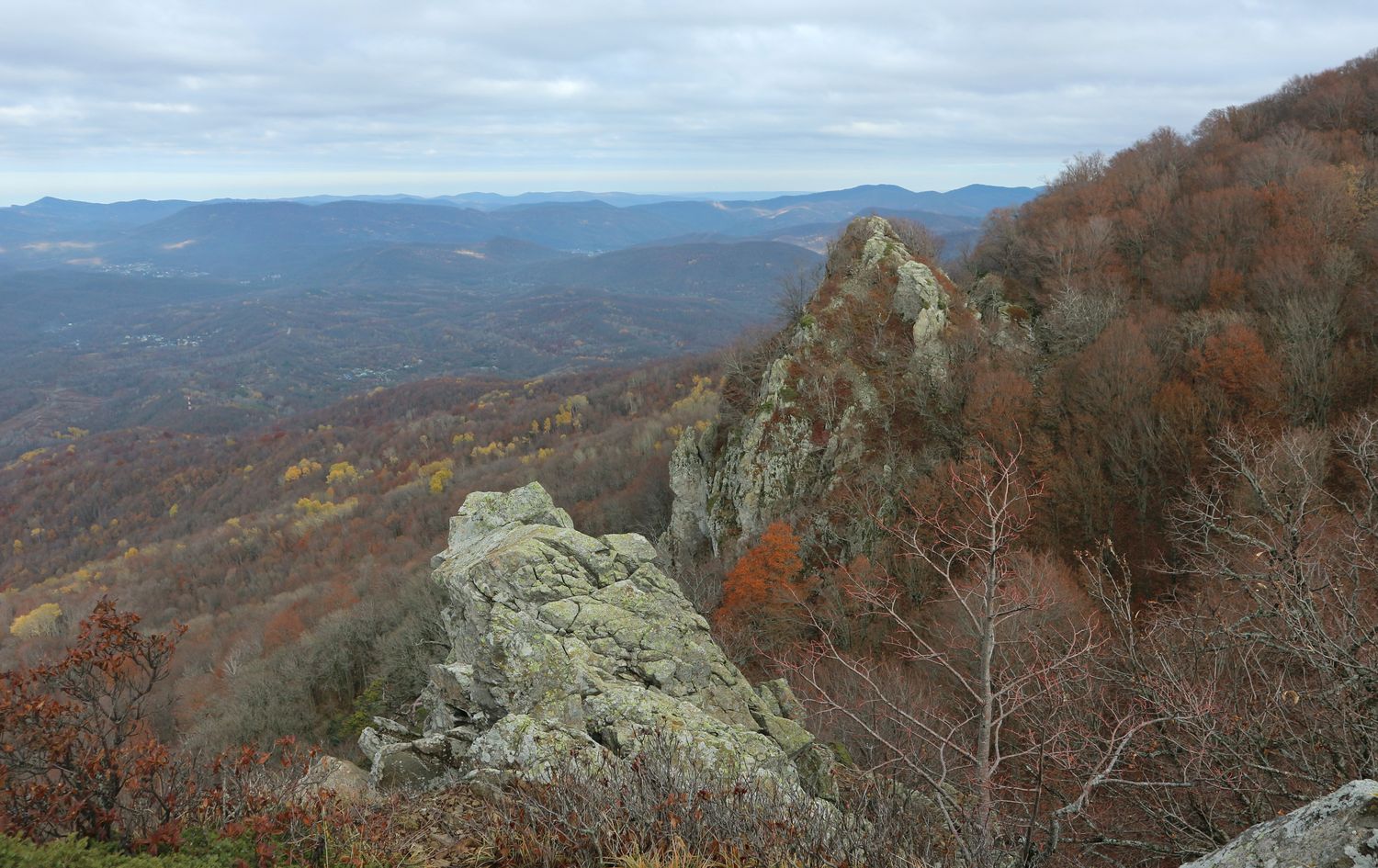 Гора Индюк, image of landscape/habitat.