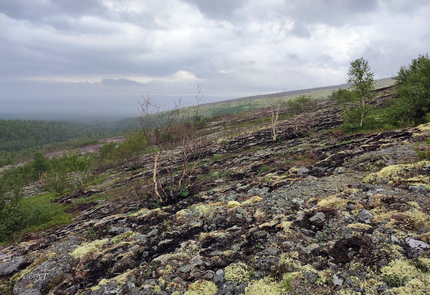 Ручей Маннепахкуай, image of landscape/habitat.