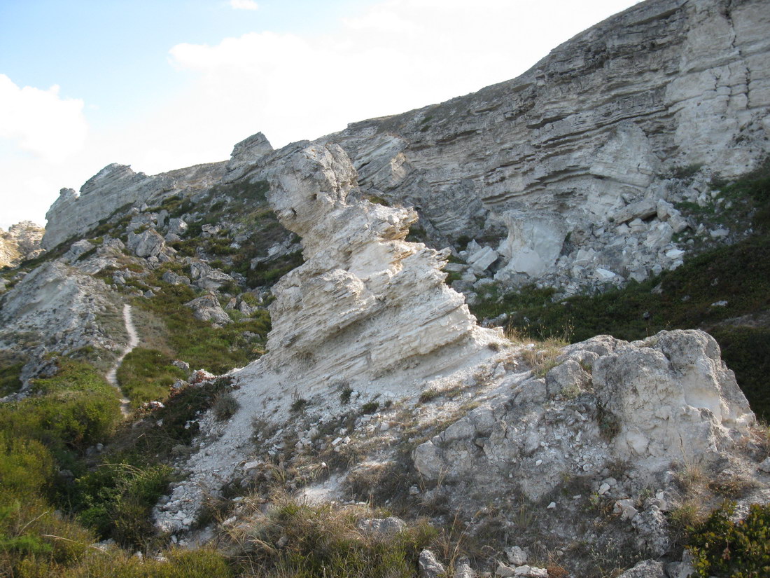 Джангуль, image of landscape/habitat.
