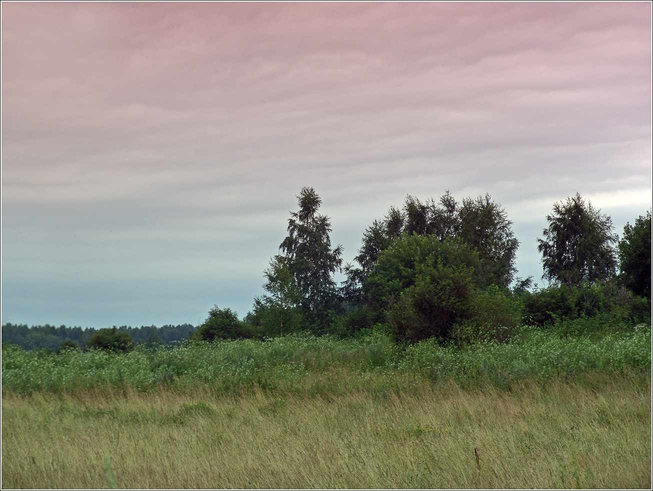 Вазуза, изображение ландшафта.