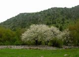 Image of landscape