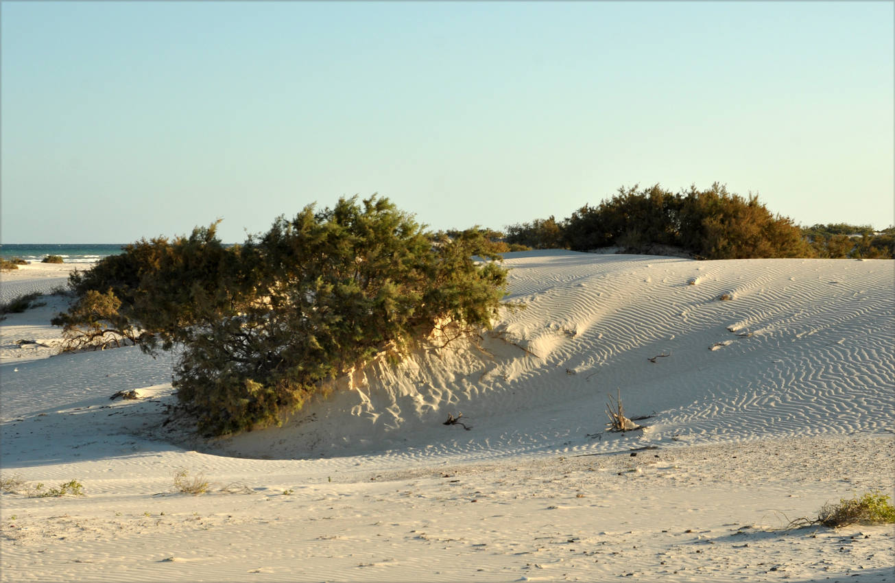Окрестности деревни Аомак, image of landscape/habitat.