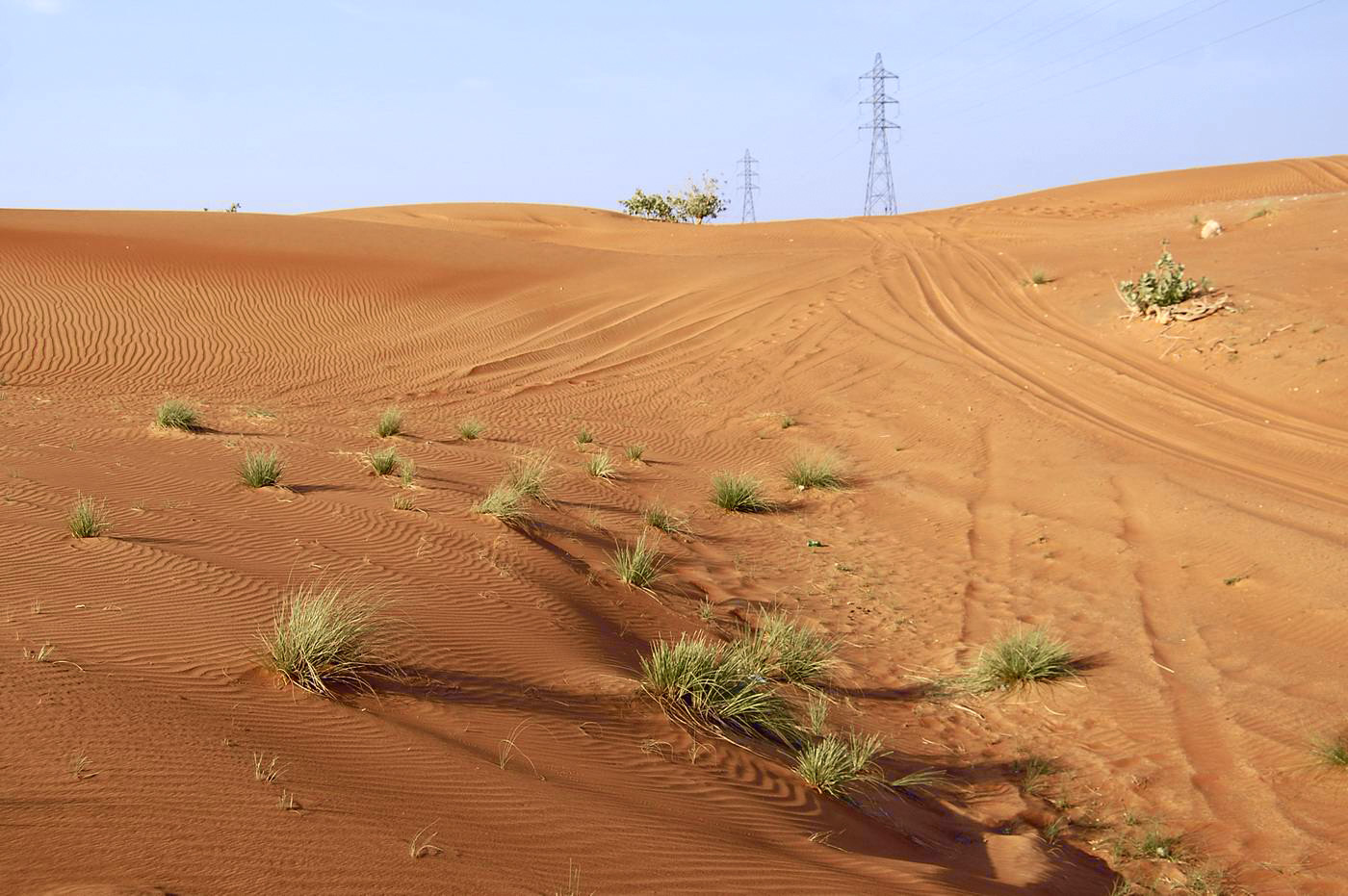 Эльгайль, image of landscape/habitat.