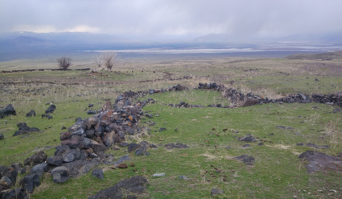 Юго-западное подножие Арарата, image of landscape/habitat.