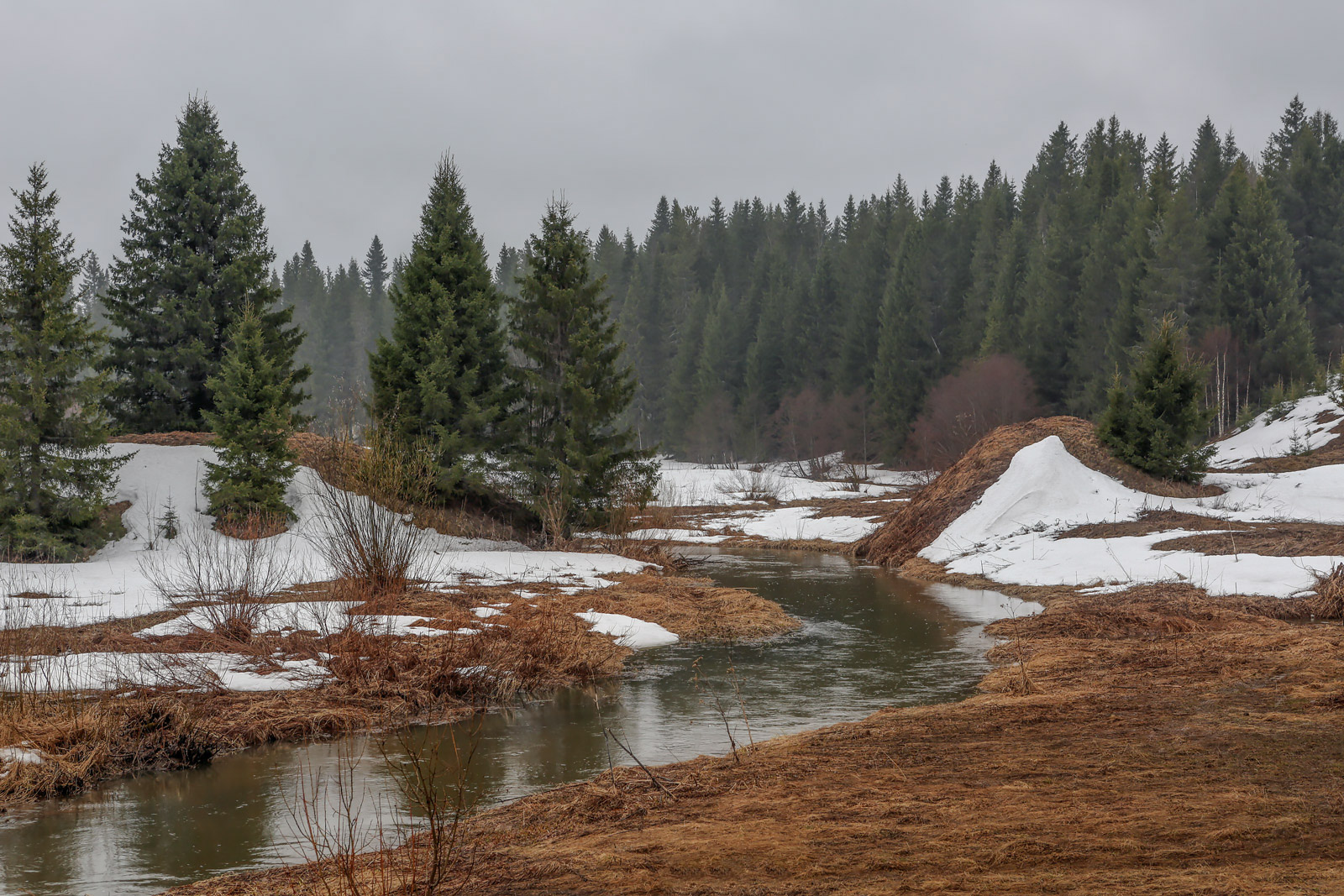 Заборная, image of landscape/habitat.