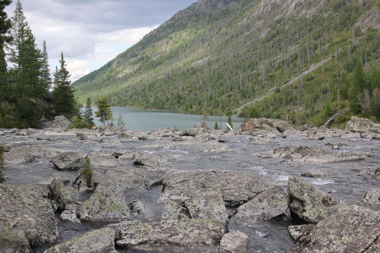 Урочище Шумы, image of landscape/habitat.