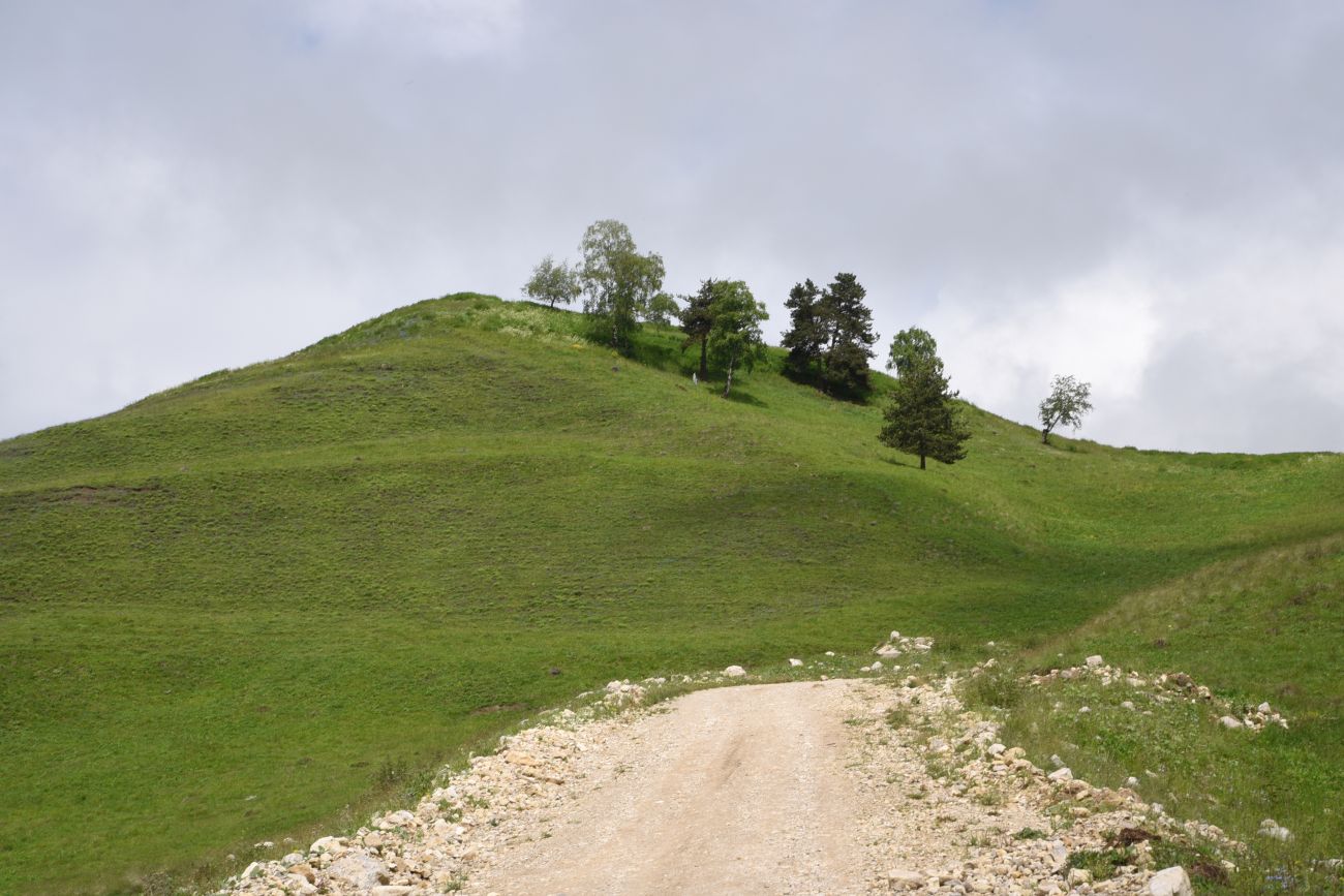 Окрестности урочища Оасег, image of landscape/habitat.