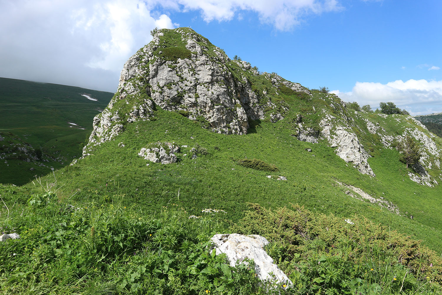 Пик Татьяны, image of landscape/habitat.