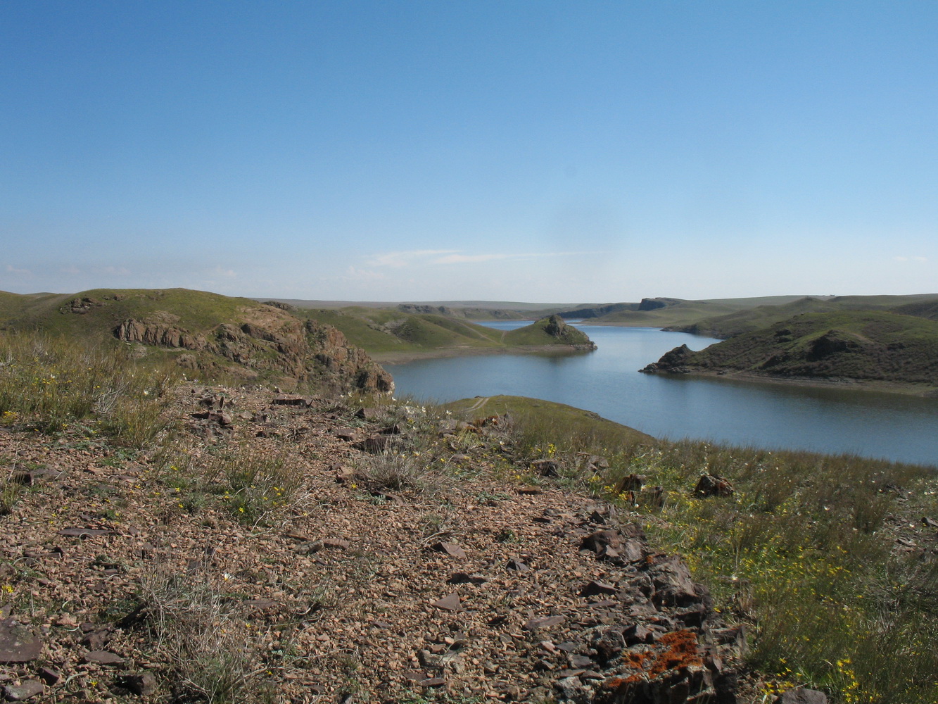 Курты, image of landscape/habitat.