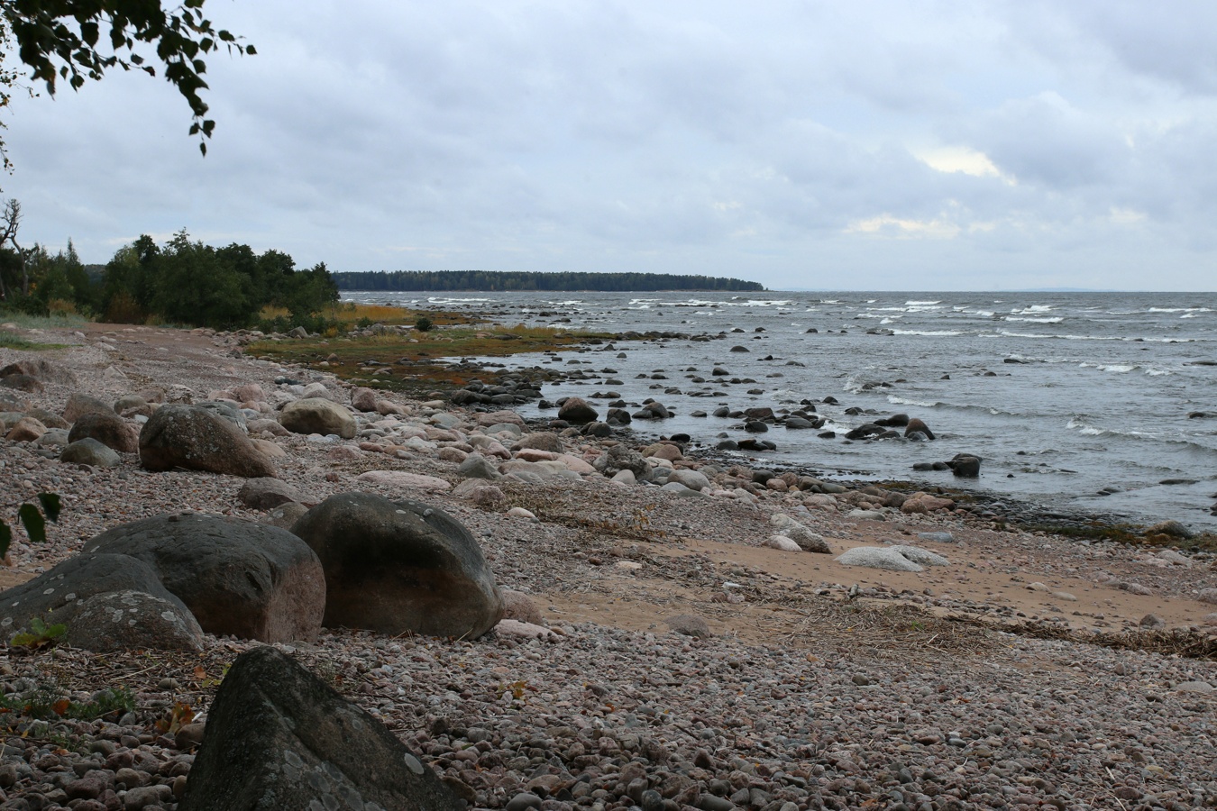 Каравалдай, image of landscape/habitat.