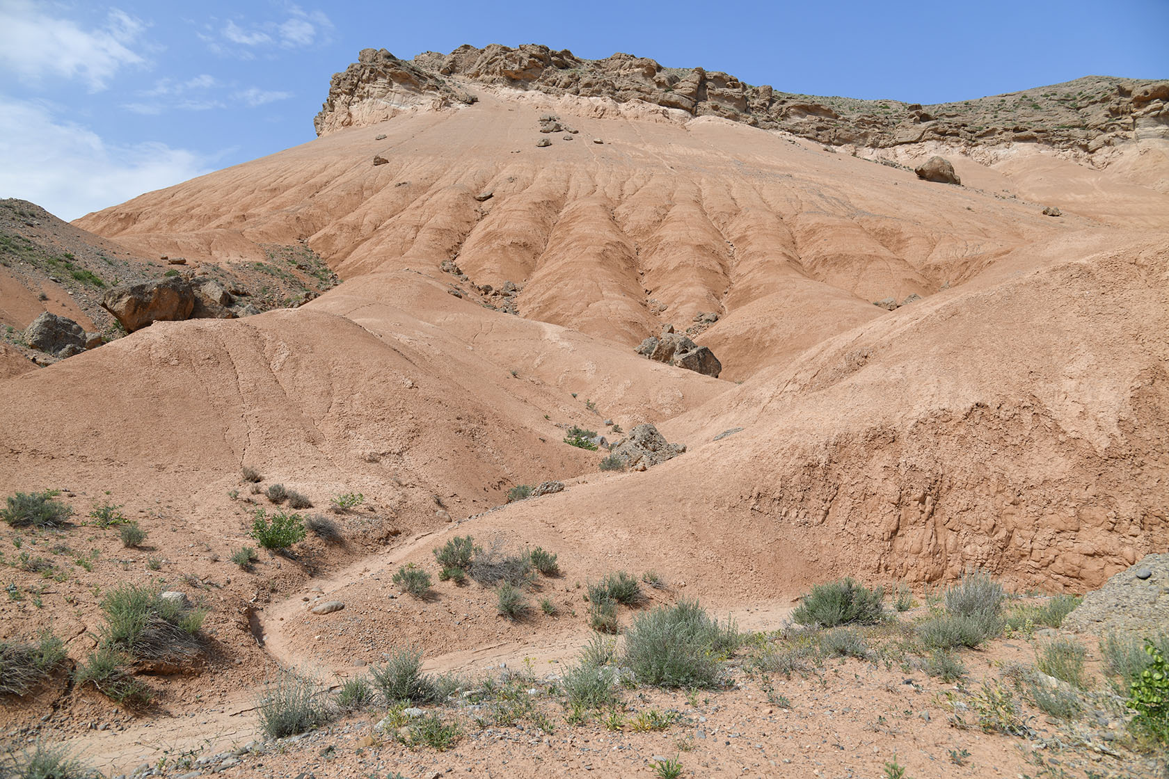 Исфара, image of landscape/habitat.