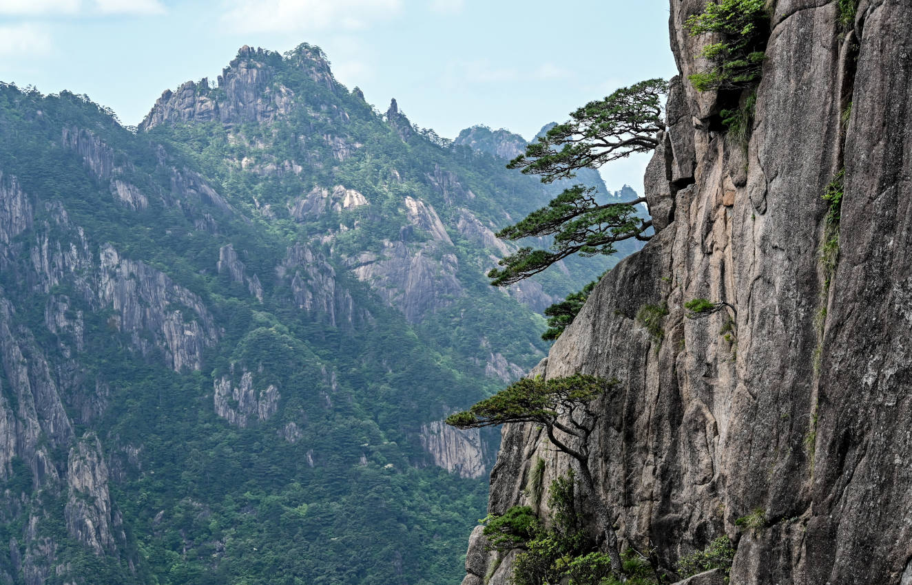 Национальный парк "Хуаншань", image of landscape/habitat.