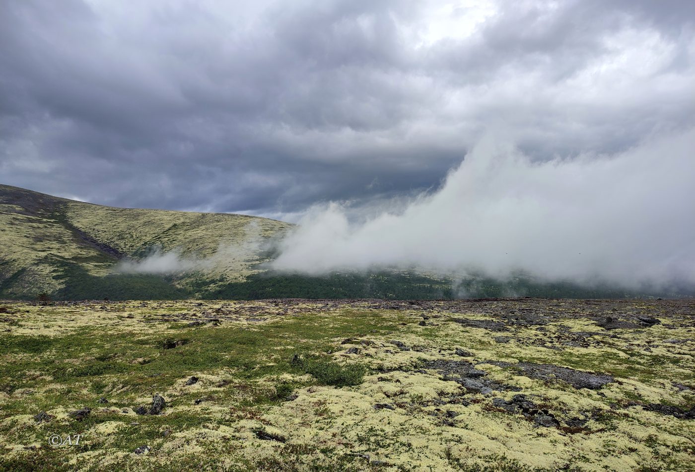 Ручей Маннепахкуай, image of landscape/habitat.