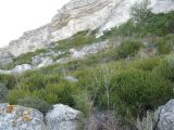Image of landscape