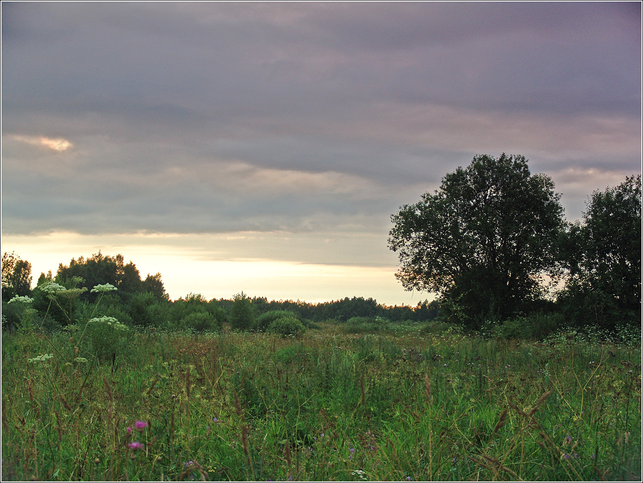 Вазуза, изображение ландшафта.